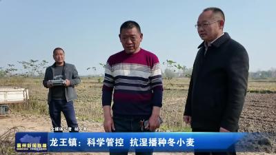 龙王镇：科学管控 抗湿播种冬小麦
