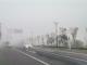 我区发布大雾橙色预警信号
