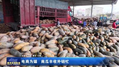 电商为媒 南瓜丰收外销忙