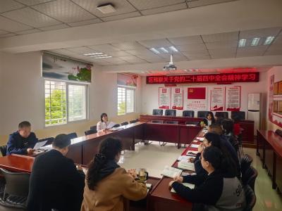 襄州区残联召开专题会议