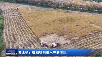 龙王镇：晚稻收割进入冲刺阶段