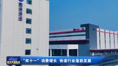 “双十一”消费增长 快递行业蓬勃发展