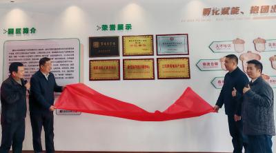 打造产业强枢纽  共筑电商新未来