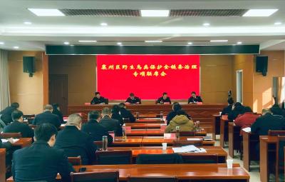 襄州区召开野生鸟类保护全链条治理专项联席会议