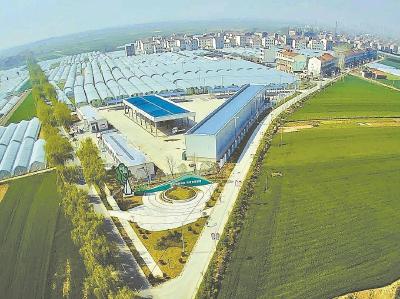 襄州区实施“四项行动”谱写田园新篇——把抽象蓝图转化为“具象实景”