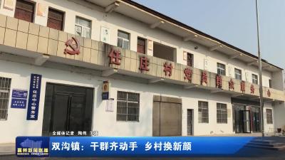 双沟镇：干群齐动手 乡村换新颜