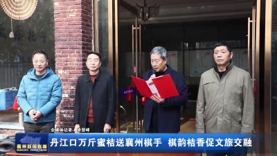 丹江口万斤蜜桔送襄州棋手 棋韵桔香促文旅交融