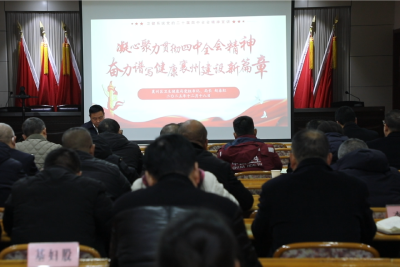 学习贯彻党的二十届四中全会精神区委宣讲团卫健系统报告会举行