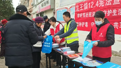 龙王镇：开展宪法宣传 增强群众法治意识