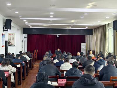 深学细悟全会精神  凝聚发展强大动力