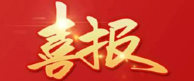 喜报连连！市第六人民医院获省级多项荣誉彰显硬核实力 