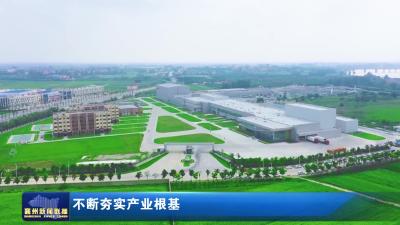 不断夯实产业根基