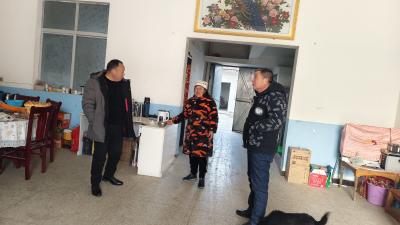 张家集：雪天路滑情更暖 代表宣传护平安