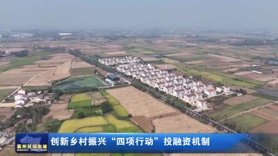创新乡村振兴"四项行动"投融资机制