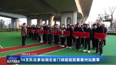 14支队伍参加湖北省门球超级联赛襄州站赛事