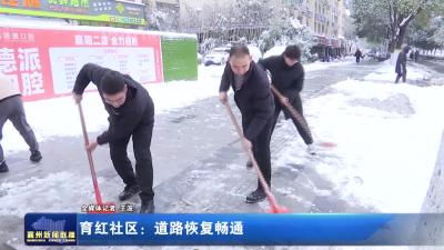 育红社区：道路恢复畅通
