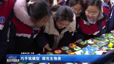 巧手筑模型 探究生物美