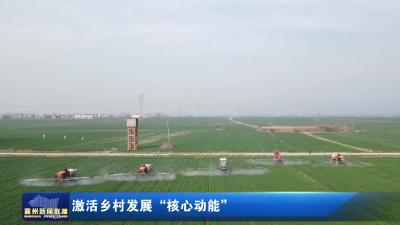 激活乡村发展"核心动能"