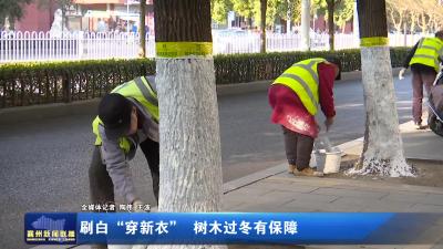 刷白 "穿新衣" 树木过冬有保障
