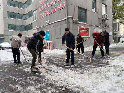 以雪为令显担当  志愿除冰暖民心