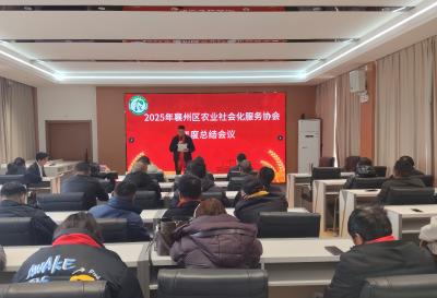 跨越巅峰铸辉煌 扬帆远航启新章