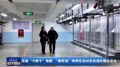 突破"卡脖子"难题 "襄阳造"特种尼龙66长丝填补国内空白