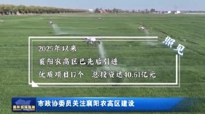 市政协委员关注襄阳农高区建设