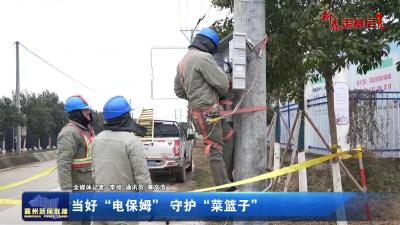 当好“电保姆”守护“菜篮子”