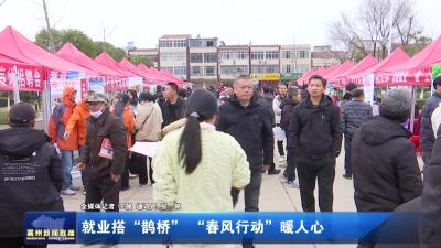 就业搭“鹊桥” “春风行动”暖人心