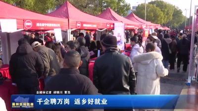 千企聘万岗 返乡好就业
