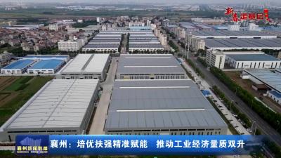 襄州：培优扶强精准赋能推动工业经济量质双升