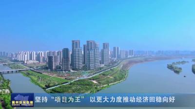 以更大力度推动经济回稳向好坚持“项目为王”