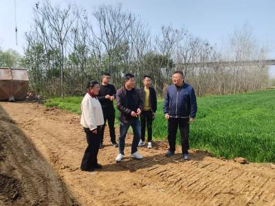 听民声解民忧，伙牌镇人大现场协调 解决施工民生难题