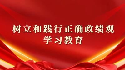 树立和践行正确政绩观学习教育
