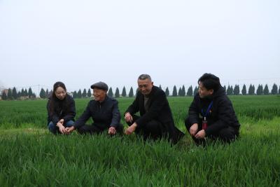 清风拂沃野 监督护春耕