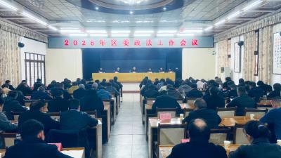 2026年区委政法工作会议召开