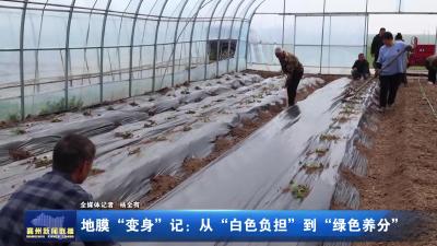地膜“变身”记:从“白色负担”到“绿色养分”