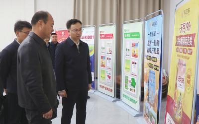 学习运用“千万工程”经验 扎实推进乡村振兴“四项行动”
