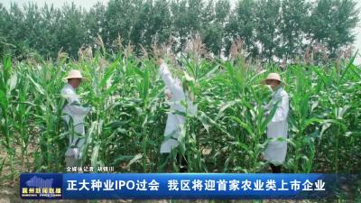正大种业IPO过会 我区将迎首家农业类上市企业