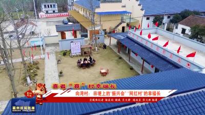 喜看“襄”村幸福长向湾村：田埂上的“振兴会”“网红村”的幸福长