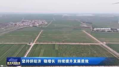 坚持拼经济 稳增长 持续提升发展质效