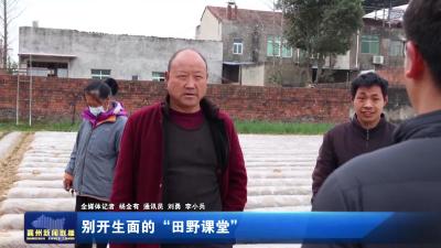 别开生面的 “田野课堂”