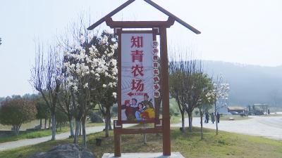 鹿门山景区：打造栖喜特色小院文旅项目 推动文旅融合创新发展