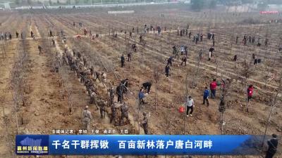 千名干群挥锹  百亩新林落户唐白河畔