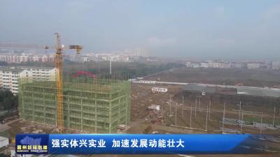 强实体兴实业 加速发展动能壮大