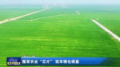 攥紧农业“芯片”筑牢粮仓根基