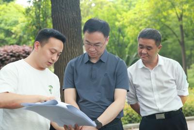 持续推进城市更新 让建设成果惠及更多群众