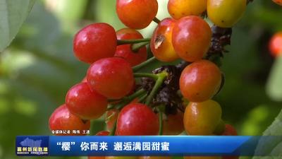 “樱”你而来 邂逅满园甜蜜