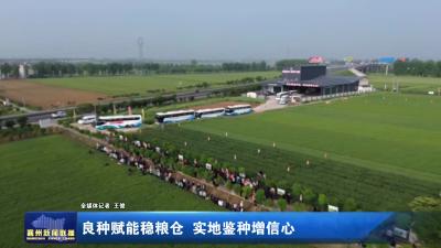 良种赋能稳粮仓 实地鉴种增信心