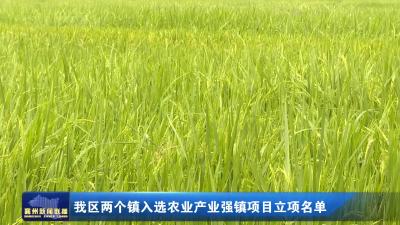我区两个镇入选农业产业强镇项目立项名单